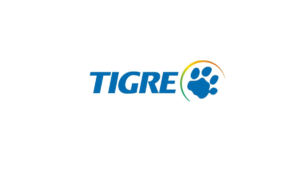 Tigre Brasil projeto de TI arkentec